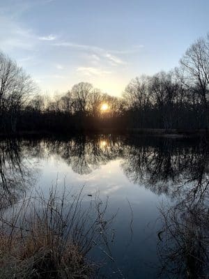 Stenger Farm Park