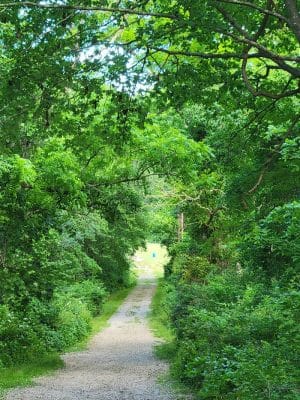Stenger Farm Park