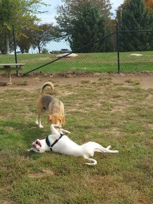 Stenger Farm Park