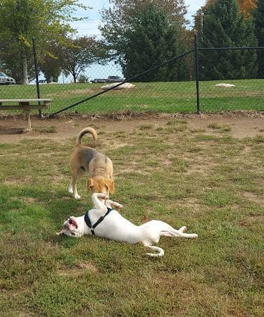 Stenger Farm Park