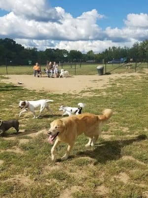 Stenger Farm Park