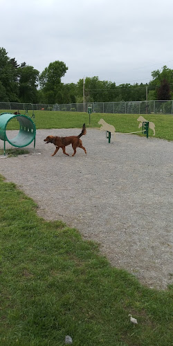 Scentral Dog Park