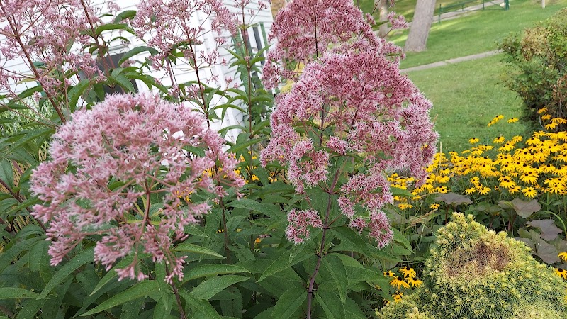 Drayton Plains Nature Center - Waterford Township,