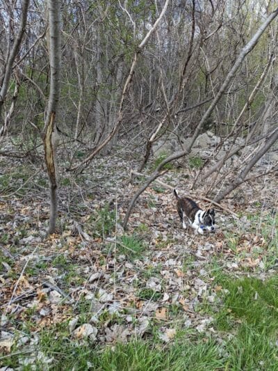 Herrington Park - Waterford Township,