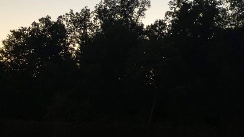 Herrington Park - Waterford Township,