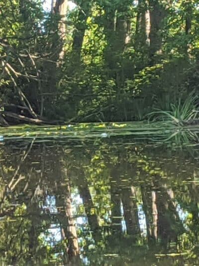 Maceday Lake Park - Waterford Township, MI