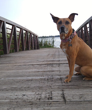 Dodge #4 State Park