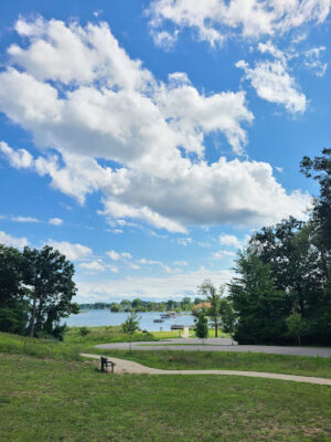 Elizabeth Lake Woods Park