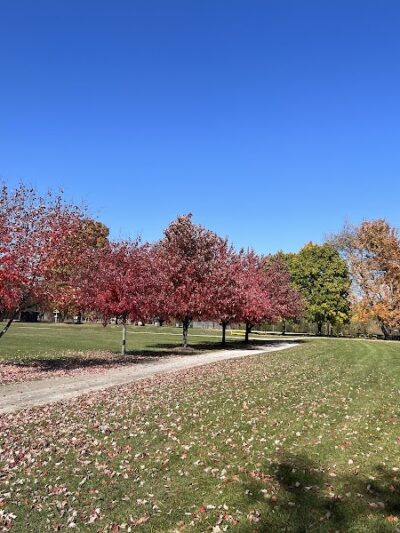 Paradise Peninsula - Waterford Township,