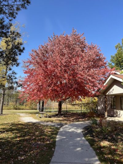 Paradise Peninsula - Waterford Township,