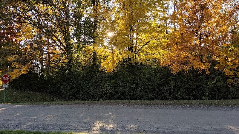 Waterford Oaks County Park - Waterford Township, MI