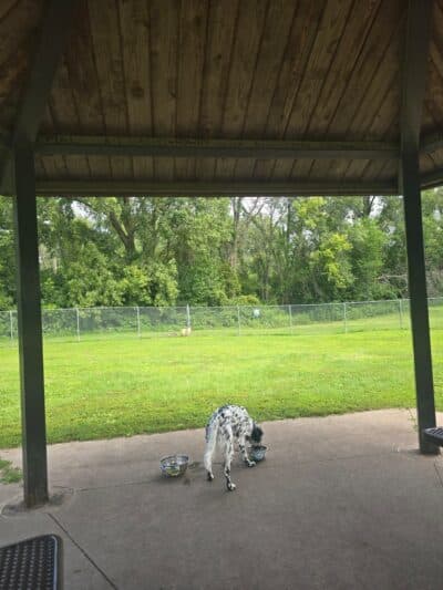 Pat Bowlsby Off-Leash Dog Park - Waterloo, IA