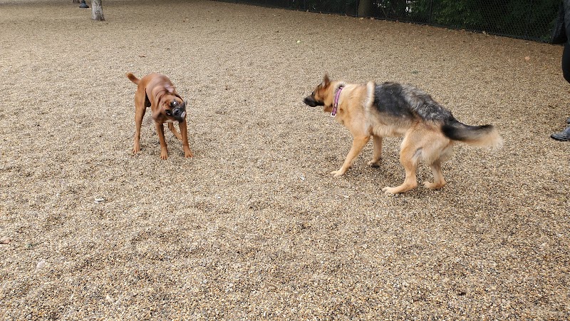 Filippello Dog Park - Watertown, MA