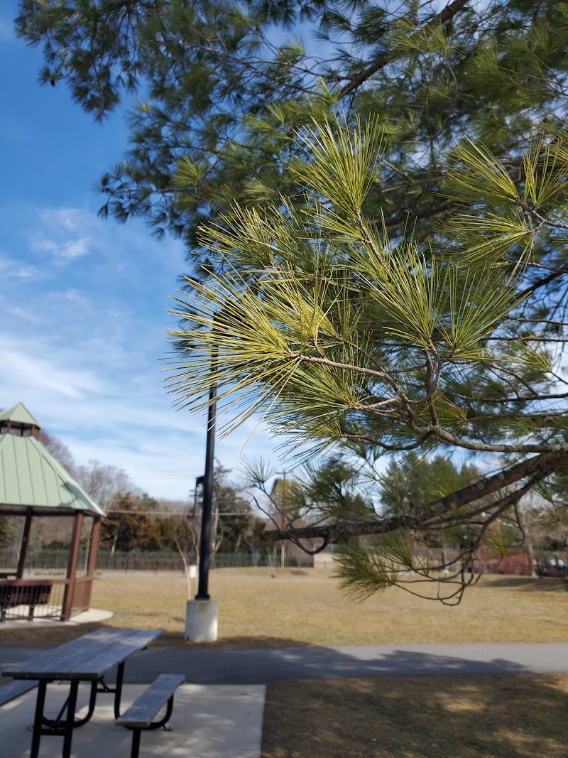 Filippello Dog Park - Watertown, MA