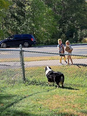 Watertown Dog Park