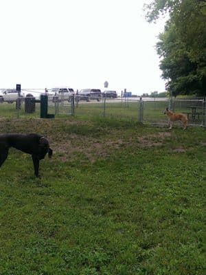 Watertown Dog Park