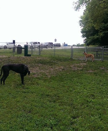 Watertown Dog Park