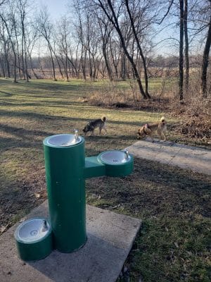 Watertown Dog Park