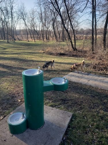Watertown Dog Park