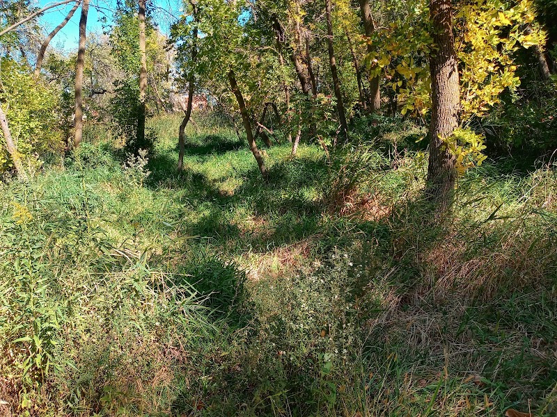Watertown Dog Park - Watertown, MN