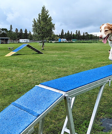 Watertown Dog Park