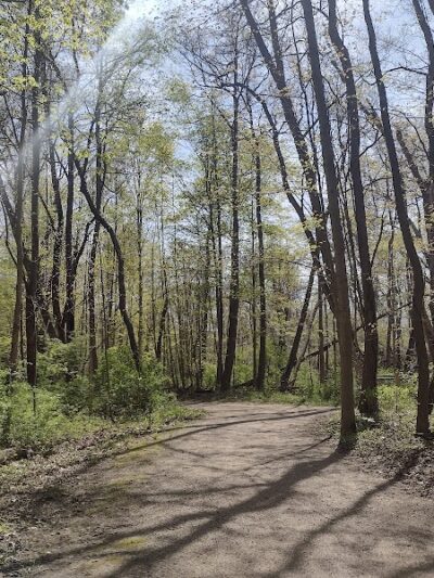 Hays Park - Watervliet,