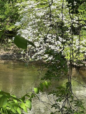 Berrien County Park