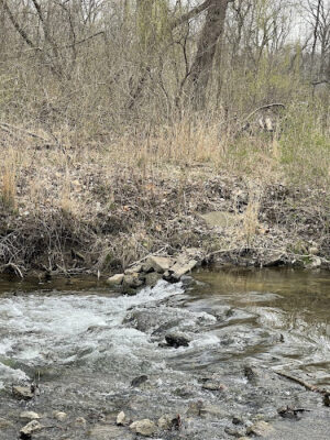 Flaherty Park