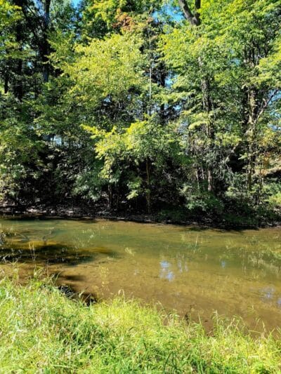 Paw Paw River County Park - Watervliet,
