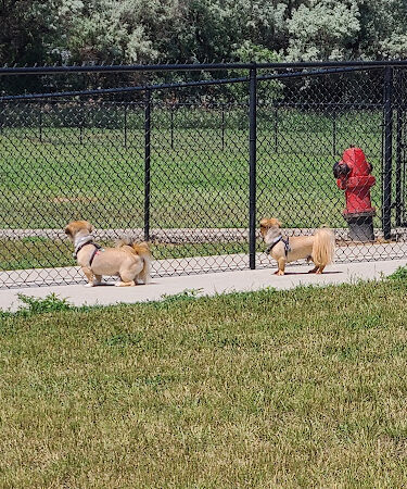 Doc Nelson Dog Park