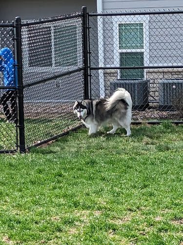 Trailside Dog Park