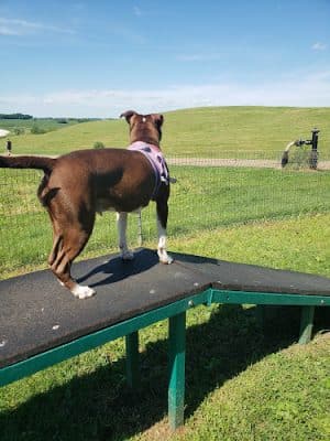 Middleton Dog Park