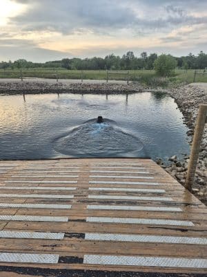 Tails & Trails Off-Leash Dog Park - Waupaca, WI