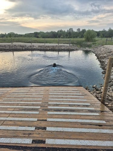Tails & Trails Off-Leash Dog Park - Waupaca, WI