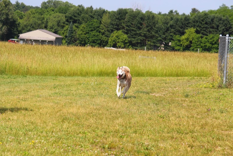 Tails & Trails Off-Leash Dog Park - Waupaca, WI