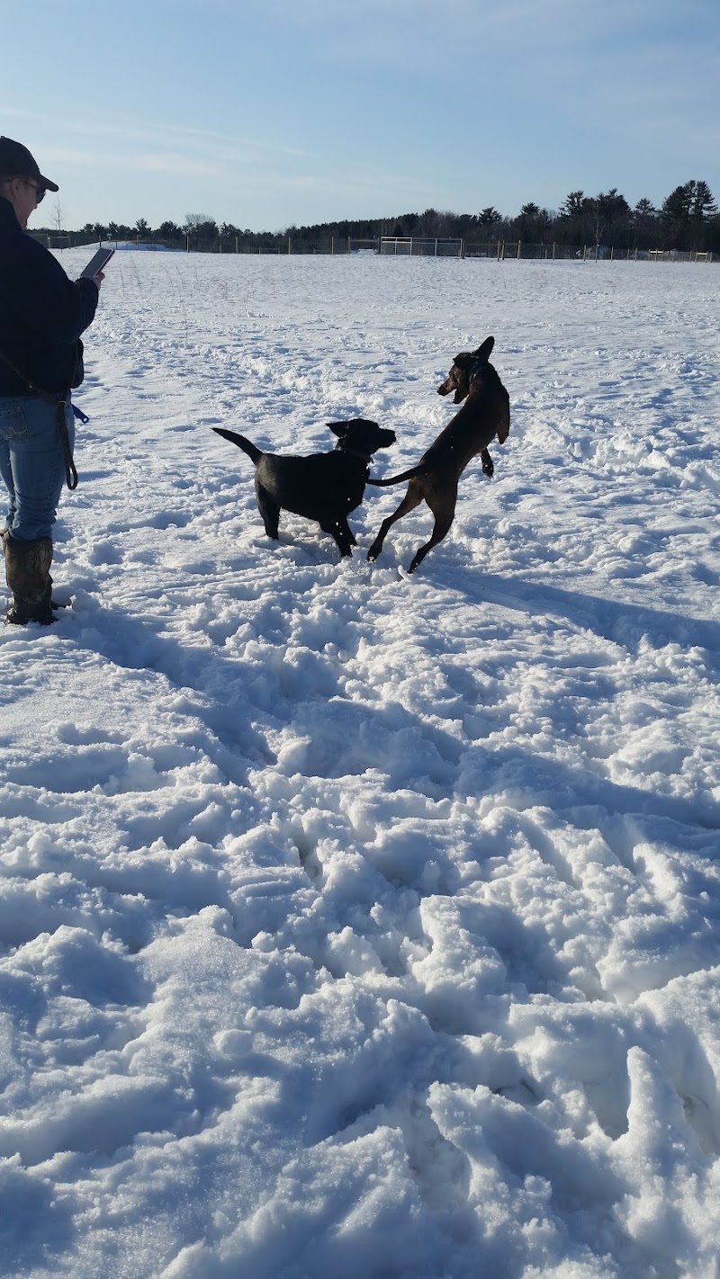 Tails & Trails Off-Leash Dog Park - Waupaca, WI