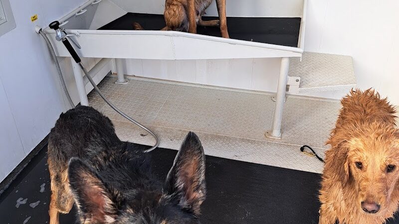Fresh-N-Clean Pet Wash - Wayland,