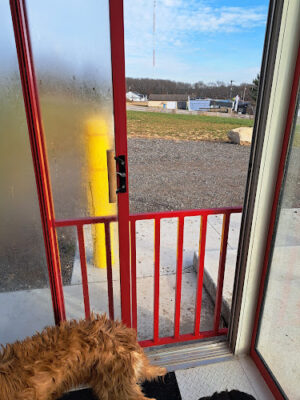 Fresh-N-Clean Pet Wash