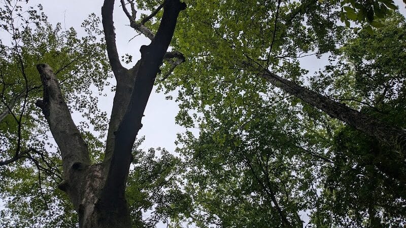 Rabbit River Trails - Wayland,