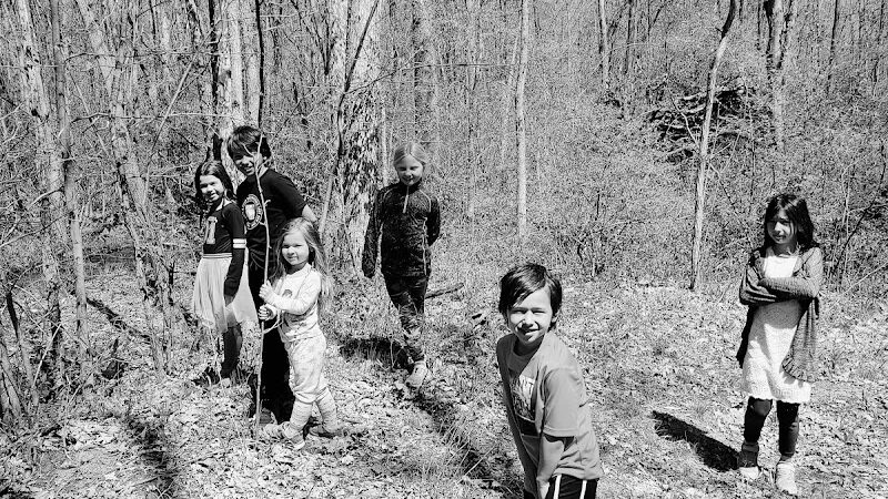 Rabbit River Trails - Wayland,