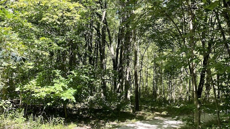 Rabbit River Trails - Wayland,