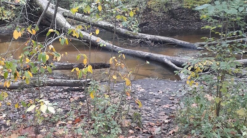 Rabbit River Trails - Wayland,