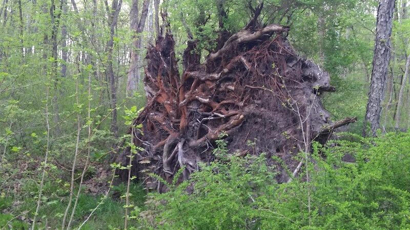 Rabbit River Trails - Wayland,