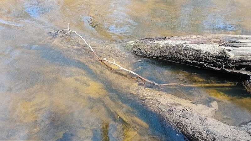 Rabbit River Trails - Wayland,