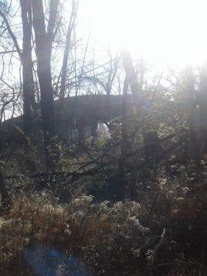 Whitegate Park