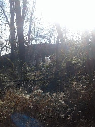 Whitegate Park