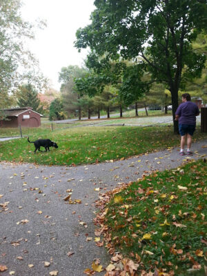 Red Run Park
