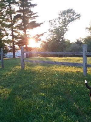 Coyner Springs Park