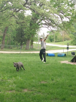Sketchley's Dog Park