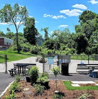 Webster Dog Park